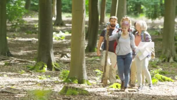 Amigos caminhadas na floresta — Vídeo de Stock