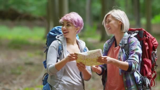 Amigos caminhadas na floresta — Vídeo de Stock