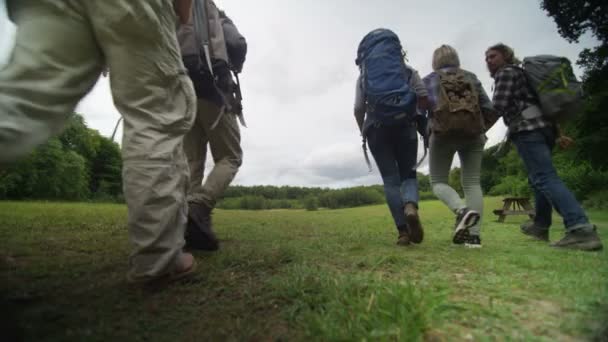 Amigos caminando por un sendero forestal — Vídeo de stock