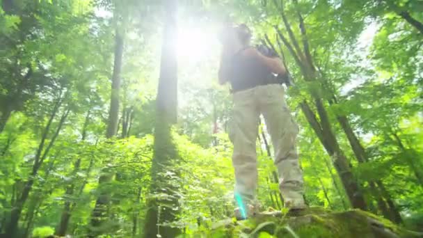 Man vandrar i skogen — Stockvideo