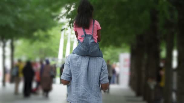 Padre e hija caminando en el parque — Vídeo de stock