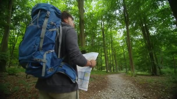Homme randonnée dans les bois — Video