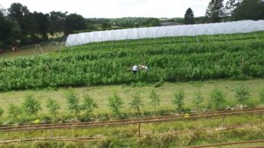 Çift malzeme çekme meyve