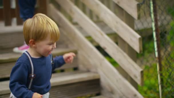 Menino brincando ao ar livre — Vídeo de Stock