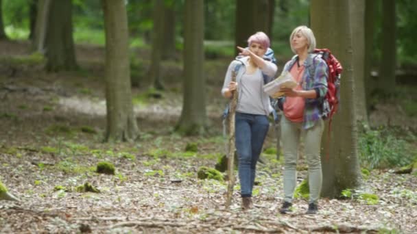 Vrienden wandelen in het bos — Stockvideo