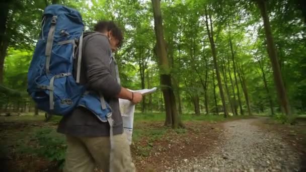 森の中をハイキングする男 — ストック動画