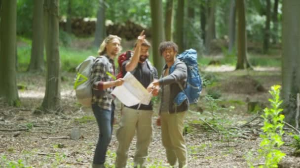 Arkadaşlar ormanda hiking — Stok video