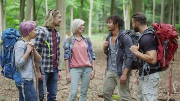 Vänner ut på en vandring i skogen — Stockvideo