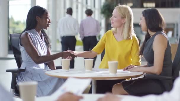 Gruppo di lavoro femminile chatta in ufficio — Video Stock