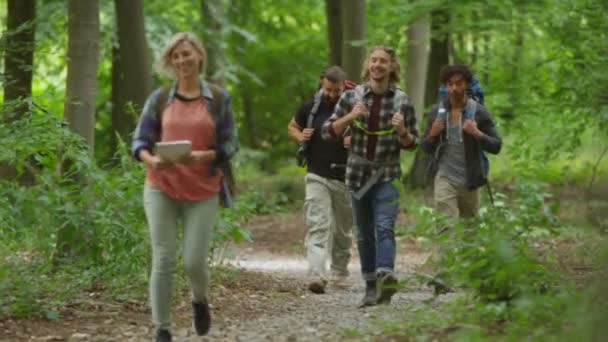 Друзі ходять по лісовій стежці — стокове відео