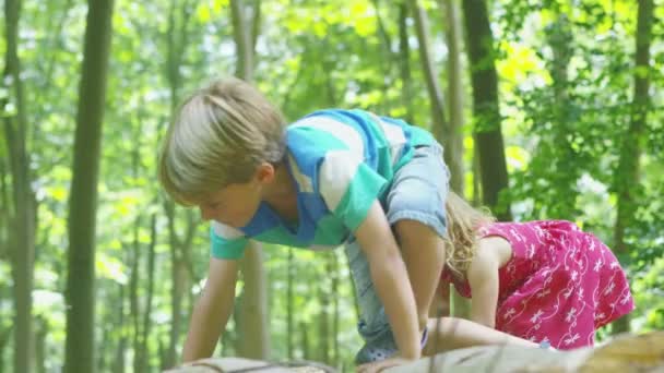 Niño y niña escalando en la pila de troncos — Vídeo de stock