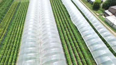  kırsal meyve bitkileri yetiştirme