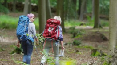 arkadaşlar ormanda hiking 