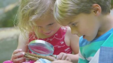  erkek ve kız böcekler için arıyorsunuz