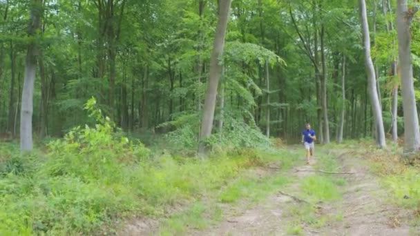 Mannen som løper i skogen – stockvideo