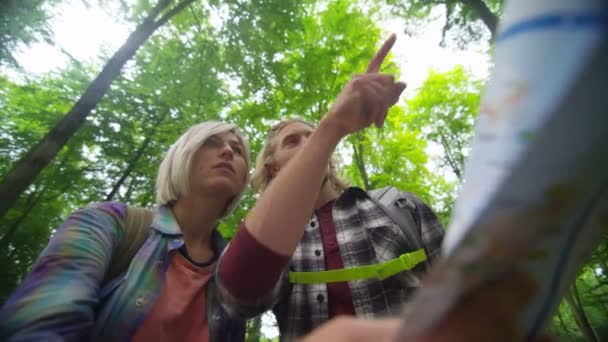 Pareja de senderismo en el bosque — Vídeos de Stock