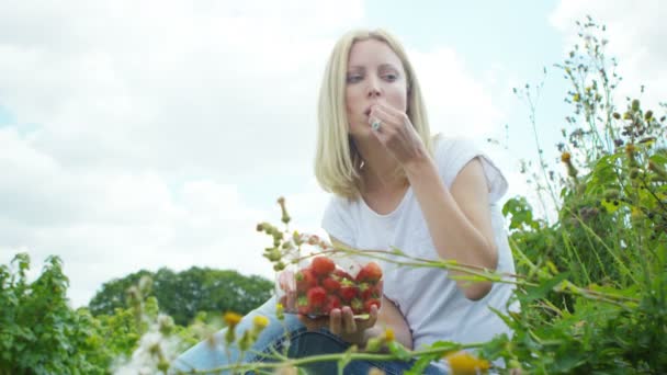 Frau isst Sommerfrüchte — Stockvideo