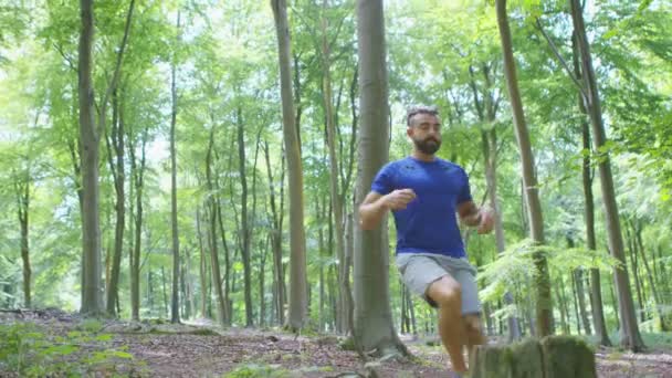 Mann läuft durch den Wald — Stockvideo