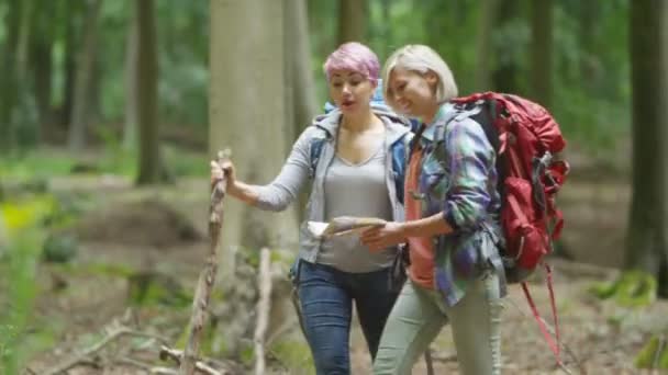 Amigos caminhadas na floresta — Vídeo de Stock