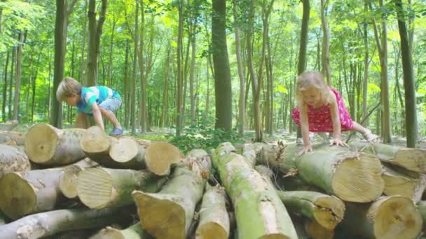 Niño y niña escalando en la pila de troncos — Vídeo de stock