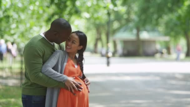Casal grávida relaxante no parque — Vídeo de Stock