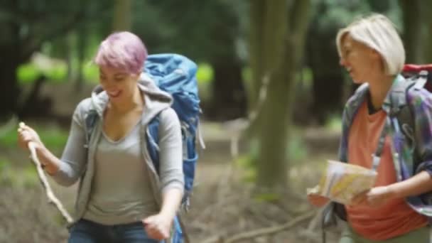 友達の森でのハイキング — ストック動画