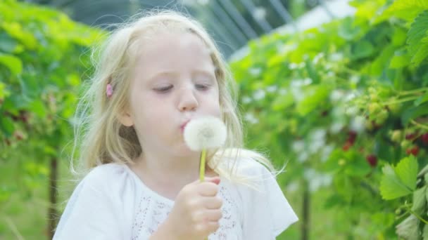 Girl blowing on a dandelion — Stock Video
