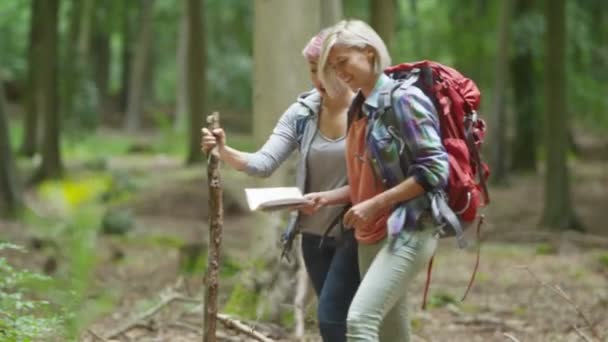 Freunde wandern im Wald — Stockvideo