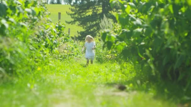 Chica corriendo en el campo — Vídeo de stock