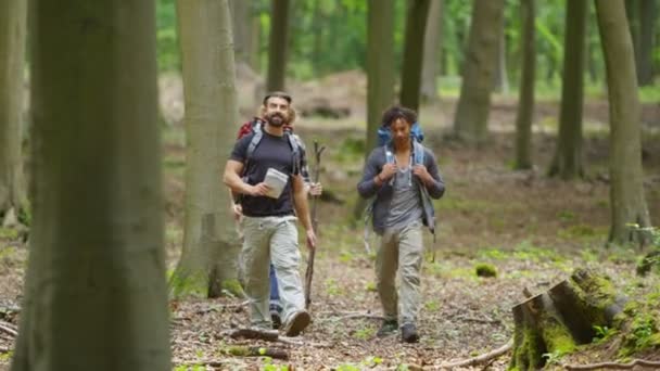 Друзья, гуляющие по лесу — стоковое видео