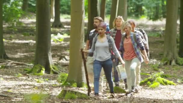 Друзья, гуляющие по лесу — стоковое видео