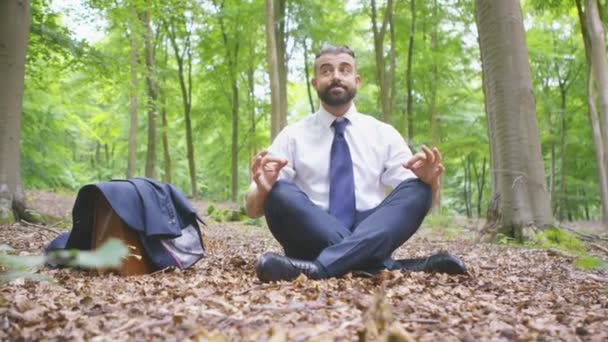 Affärsman som sitter ensam i skogen — Stockvideo