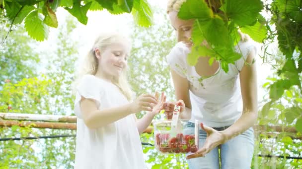 Madre e hija recogiendo frutas — Vídeo de stock