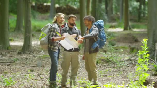 Amis randonnée dans les bois — Video