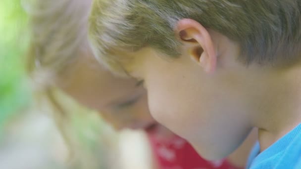 Niño y niña mirando insectos — Vídeos de Stock