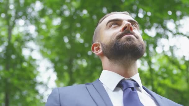 Businessman standing in the woods — Stock Video