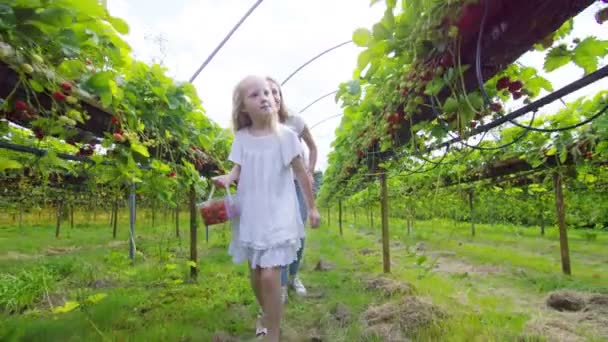 Anya és lánya, szedés gyümölcs — Stock videók