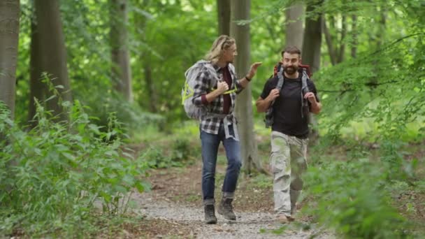 Друзі ходять в лісі — стокове відео