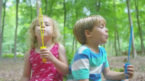 Boy and girl blowing bubbles — Stock Video