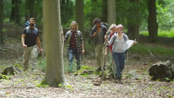 Amigos caminhadas na floresta — Vídeo de Stock