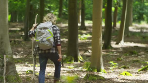 Ormanda yürüyüş yapan bir adam — Stok video