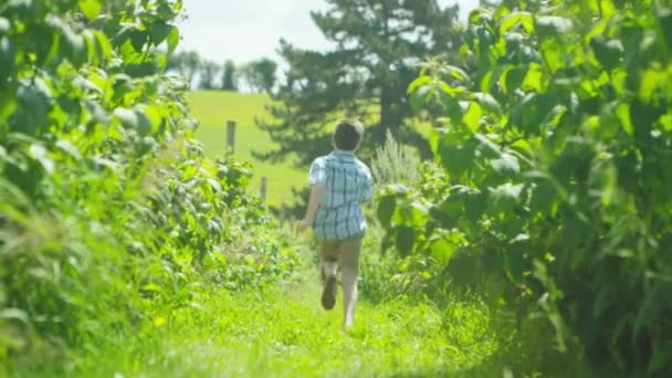 Junge läuft auf dem Land — Stockvideo