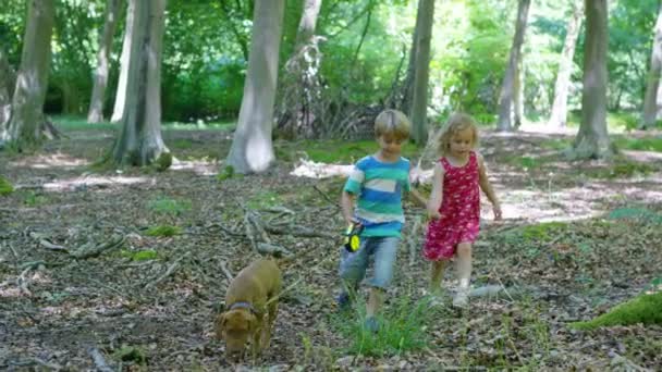 Niño y niña caminando con cachorro — Vídeo de stock