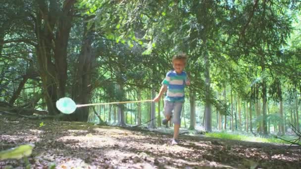 Niño jugando con la red de pesca — Vídeo de stock