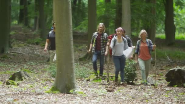 Amigos caminhadas na floresta — Vídeo de Stock