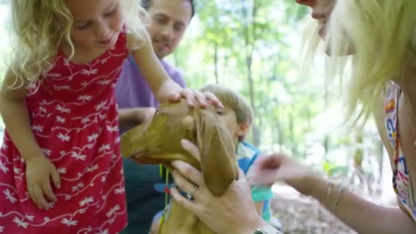 Familia acariciando cachorro — Vídeo de stock