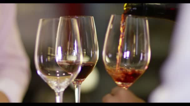 Wein wird in ein Glas gegossen — Stockvideo