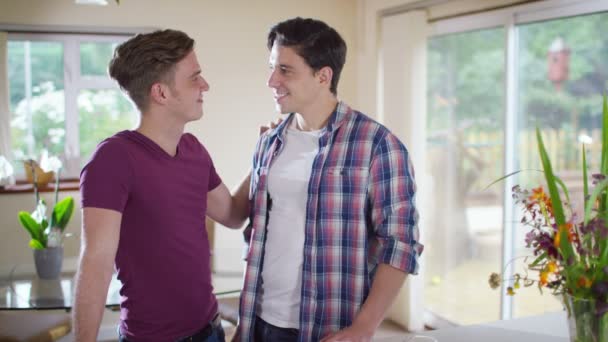 Γκέι ζευγάρι αρσενικά που χαλαρώνουν στο σπίτι — Αρχείο Βίντεο