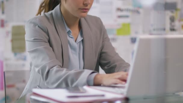 Femme d'affaires travaillant sur ordinateur portable 