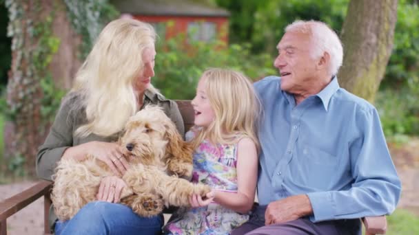 Família passar tempo com o cão — Vídeo de Stock